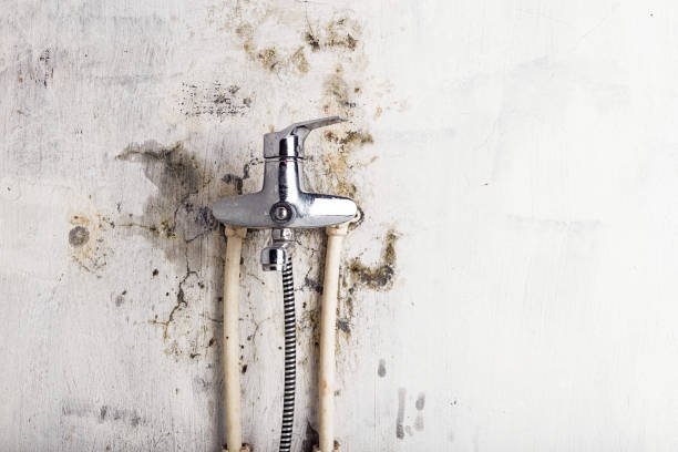 Home Mold Removal in Chanute, KS