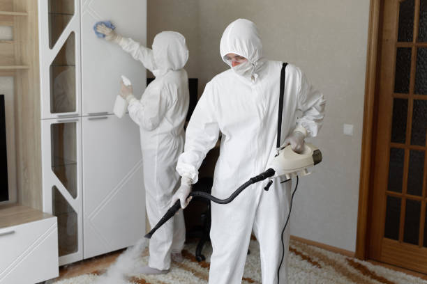 Best Mold Remediation  in Chanute, KS