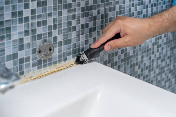 Best Home Mold Removal  in Chanute, KS