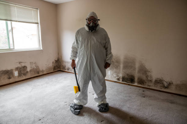 Best Local Mold Removal Service  in Chanute, KS
